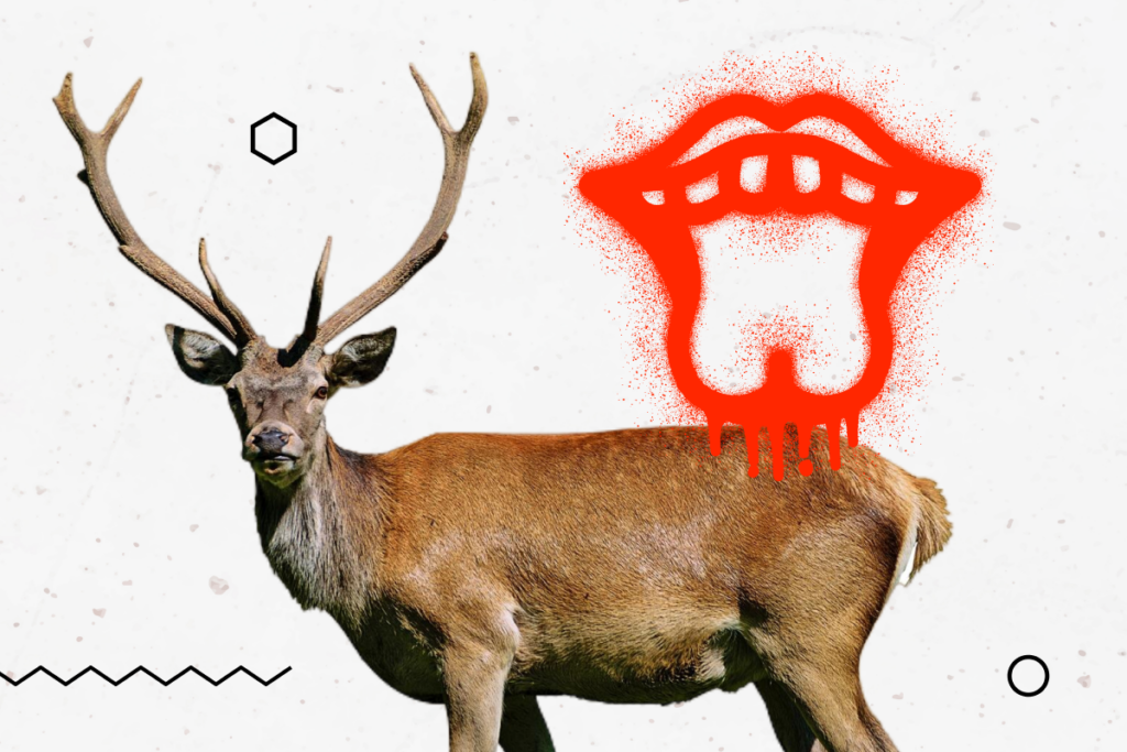 Na obrazku widać jelenia z dużymi porożami, który stoi bokiem. Nad jego ciałem znajduje się czerwona, graffiti-podobna ilustracja przedstawiająca usta z zębami i językiem. Tło jest białe.
